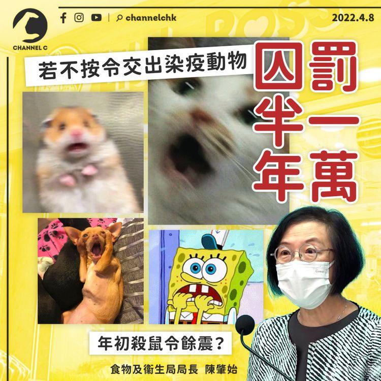 殺鼠令餘震 市民若不交出可傳染病毒的動物 可罰1萬及監禁半年