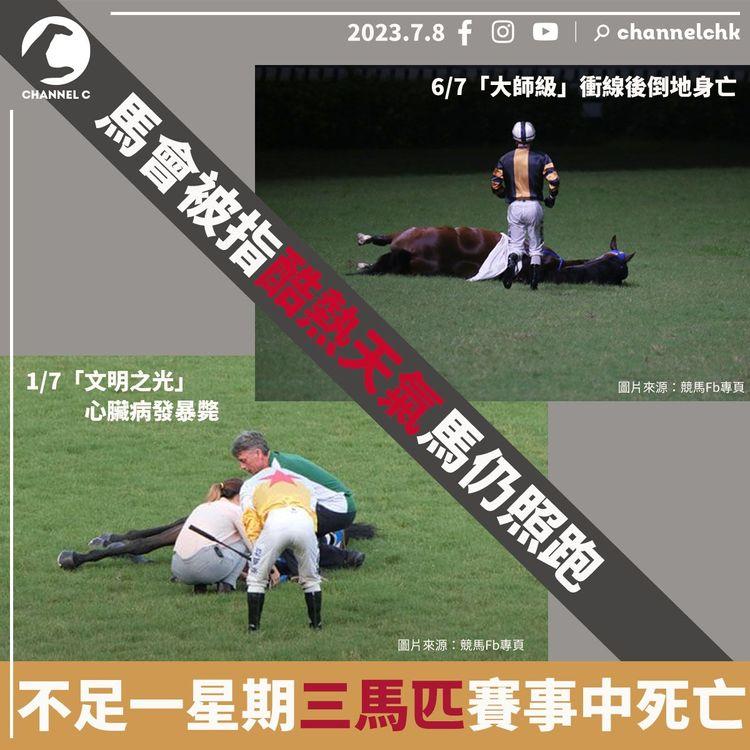 馬會被指酷熱天氣馬仍照跑 不足一星期三馬匹賽事中死亡
