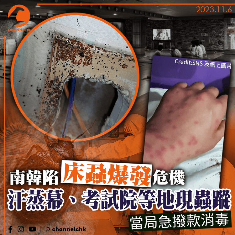 南韓陷床蝨爆發危機　汗蒸幕、考試院等地現蟲蹤　當局急撥款消毒