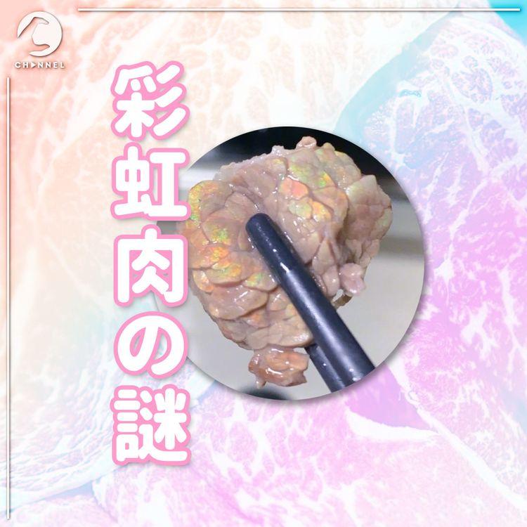 彩虹反光肉＝食得or not？專家解構原來係物理現象