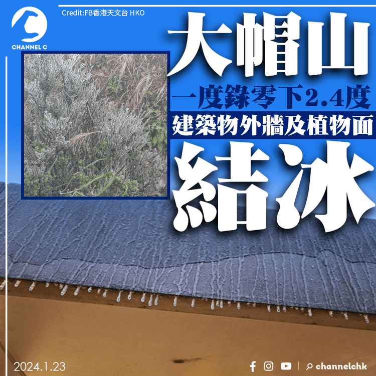 大帽山一度錄零下2.4度　建築物外牆及植物面結冰