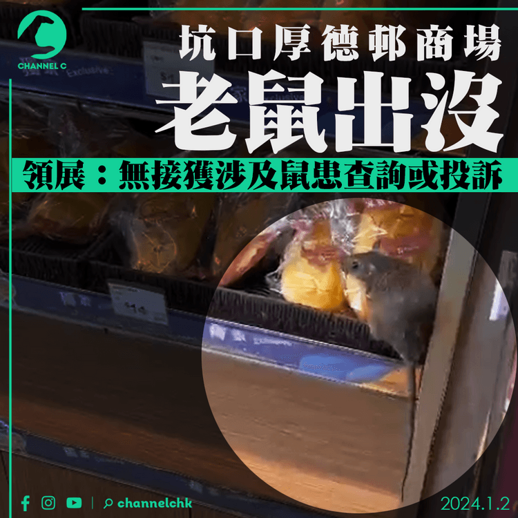 坑口厚德邨商場老鼠出沒百佳　層架內踩住麵包爬　領展：無接獲涉及鼠患查詢或投訴