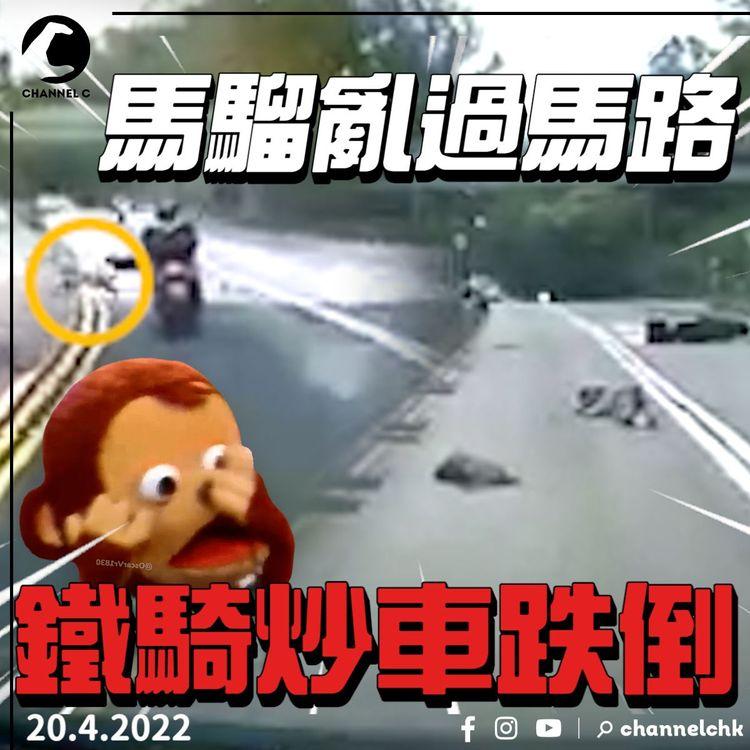 車cam｜馬騮亂過馬路 鐵騎收掣不及倒地受傷 馬騮傷勢不明