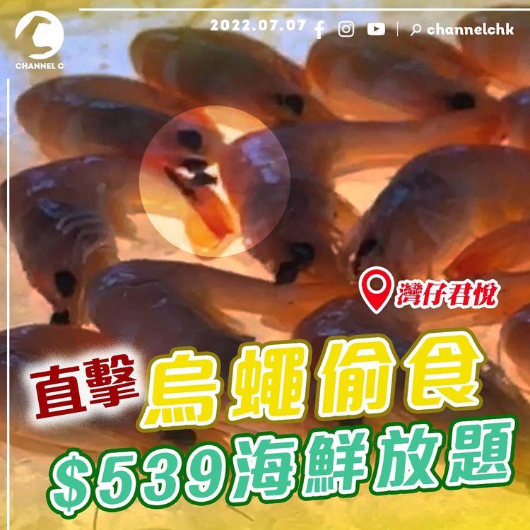 直擊烏蠅偷食君悅$539放題！密切接觸即食海鮮恐播菌 戶外自助餐離奇冇冚蓋｜凱悅灣仔Grand Hyatt酒店露天池畔餐廳THE GRILL