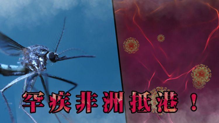 瘧疾陸續來 | 感染源頭X百人將到港 死於新冠72歲老伯打4針 袁弓夷回應關係被斷絕 | 九樓報道