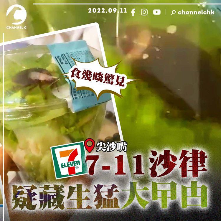 直擊7-11沙律疑藏生猛大曱甴 食幾啖驚見菜裏爬出｜解構香港常見蟑螂品種 教你分美洲V.S.德國曱甴