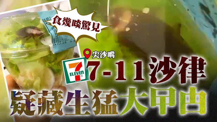 直擊7-11沙律疑藏生猛大曱甴 食幾啖驚見菜裏爬出｜解構香港常見蟑螂品種 教你分美洲V.S.德國曱甴