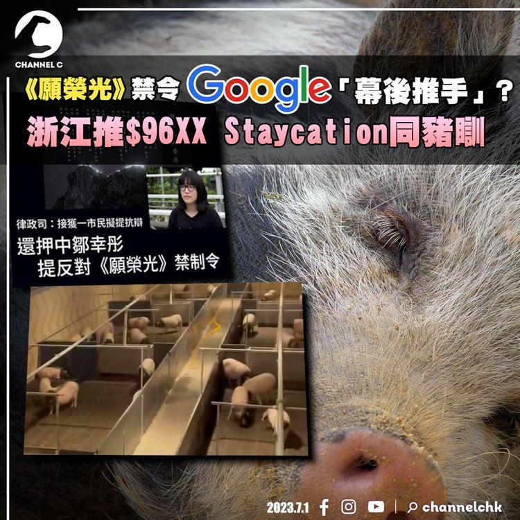 #臨瞓頭條 | 反《願榮光》禁制令 出現法庭抗辯第1人 孫東稱入稟因Google索法庭手令 浙江「豬景房」¥8,888與豬同眠 退房可以原隻打包？