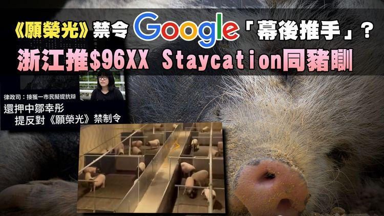 #臨瞓頭條 | 反《願榮光》禁制令 出現法庭抗辯第1人 孫東稱入稟因Google索法庭手令 浙江「豬景房」¥8,888與豬同眠 退房可以原隻打包？