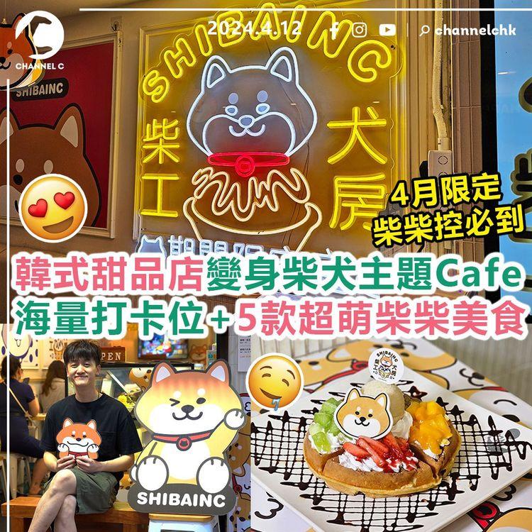 四月限定！柴柴控必到︱韓式甜品店變身柴犬主題Cafe｜海量打卡位+5款超萌柴柴美食