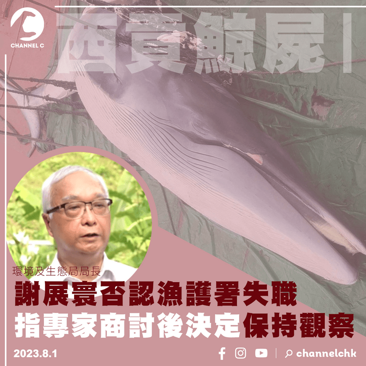 西貢鯨屍︱謝展寰否認漁護署失職　指專家商討後決定保持觀察