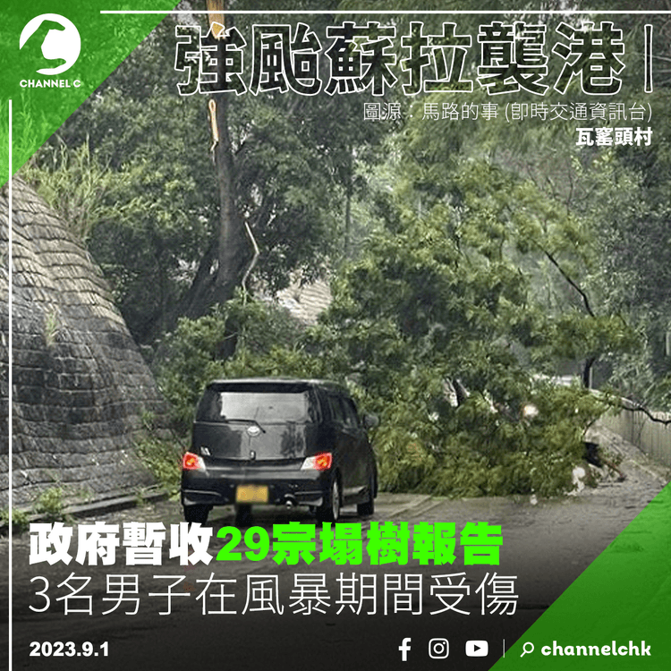 強颱蘇拉襲港︱政府暫收29宗塌樹報告　3名男子在風暴期間受傷
