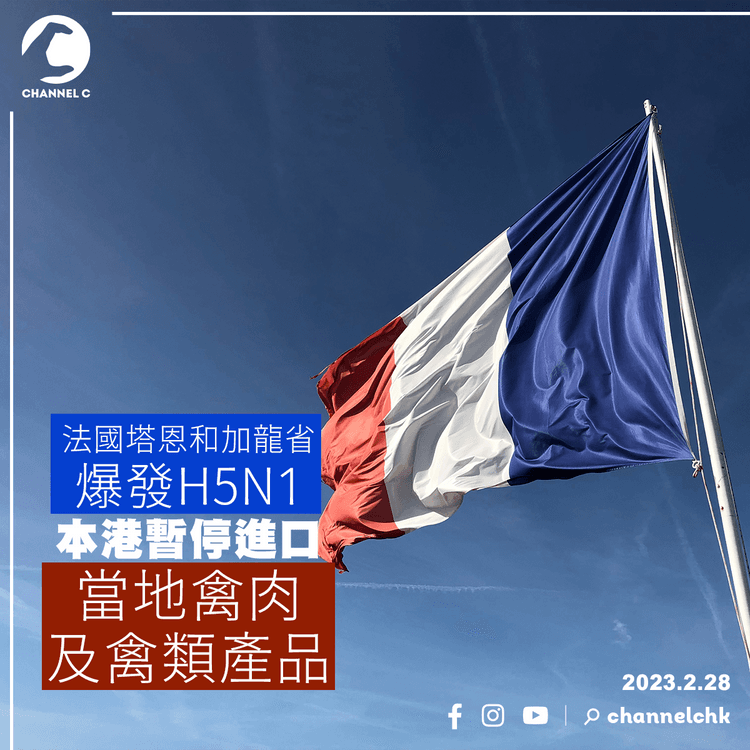法國塔恩和加龍省爆發H5N1 本港暫停進口當地禽肉及禽類產品