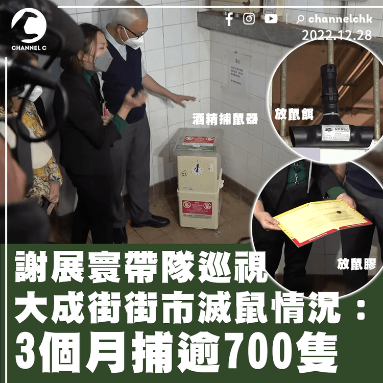 謝展寰帶隊巡視大成街街市滅鼠情況：3個月捕逾700隻 鼠患受控