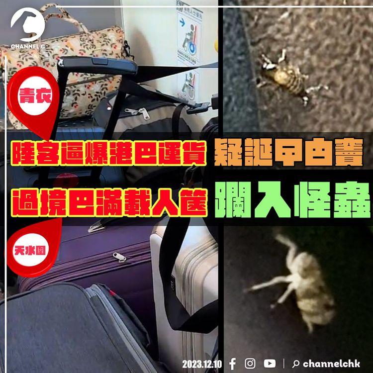 內地客逼爆港巴士運貨 疑誕曱甴竇惹床蝨！直擊7蟑螂竄九巴｜過境深圳嶼巴滿載人篋 躝入怪蟲 專家解構｜SAGAMI相模安全套特約