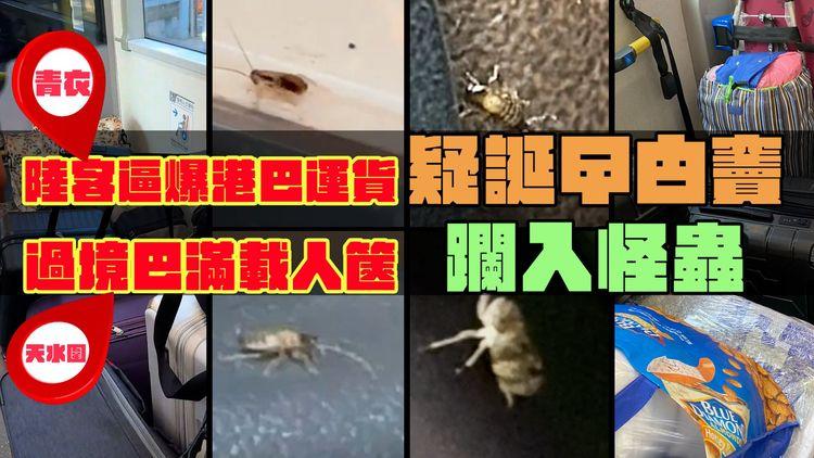 內地客逼爆港巴士運貨 疑誕曱甴竇惹床蝨！直擊7蟑螂竄九巴｜過境深圳嶼巴滿載人篋 躝入怪蟲 專家解構｜SAGAMI相模安全套特約