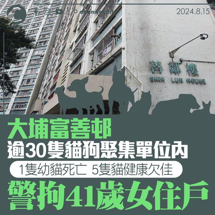 大埔富善邨逾30隻貓狗聚集單位內　1隻幼貓死亡　5隻貓健康欠佳　警拘41歲女住戶