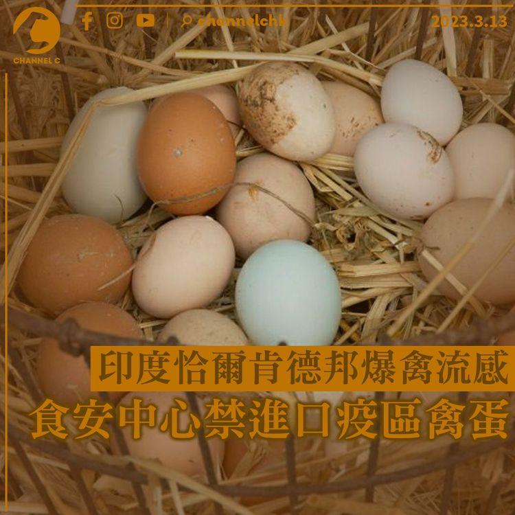 印度恰爾肯德邦爆禽流感 食安中心禁進口疫區禽蛋