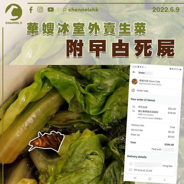 華嫂冰室外賣生菜附曱甴死屍 讀者：太太很驚嚇