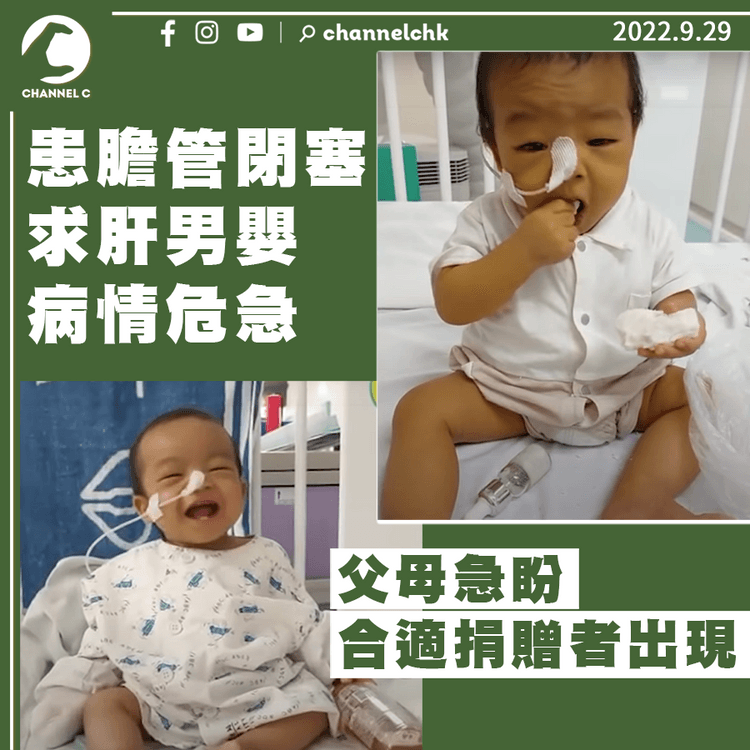 患膽管閉塞求肝男嬰病情危急 父母急盼合適捐贈者出現