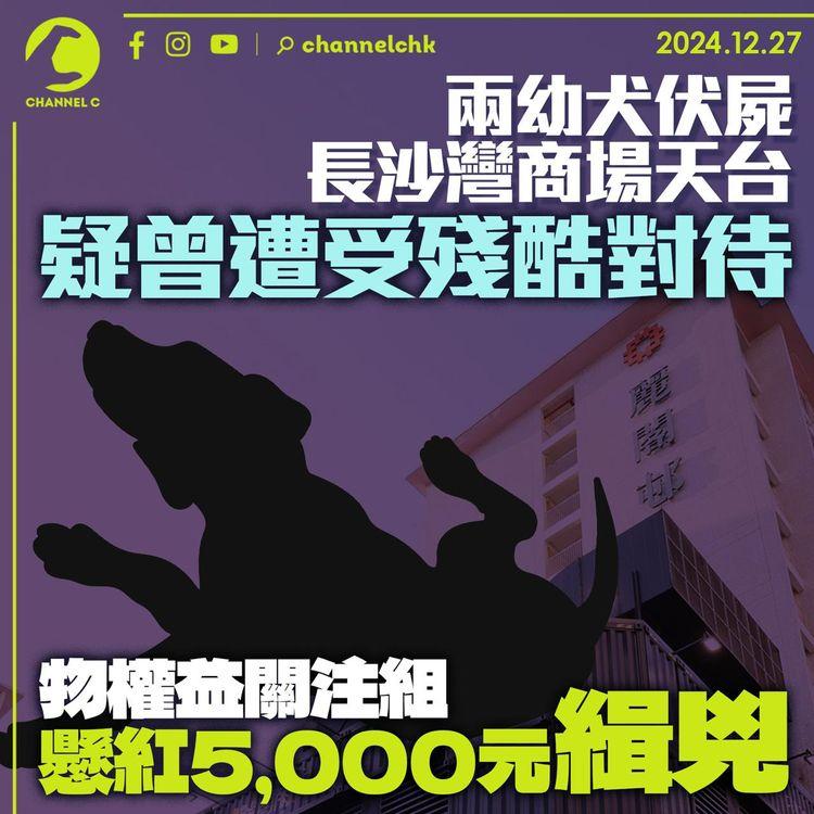 兩幼犬伏屍長沙灣商場天台　疑曾遭受殘酷對待　寵物權益關注組懸紅5,000元緝兇