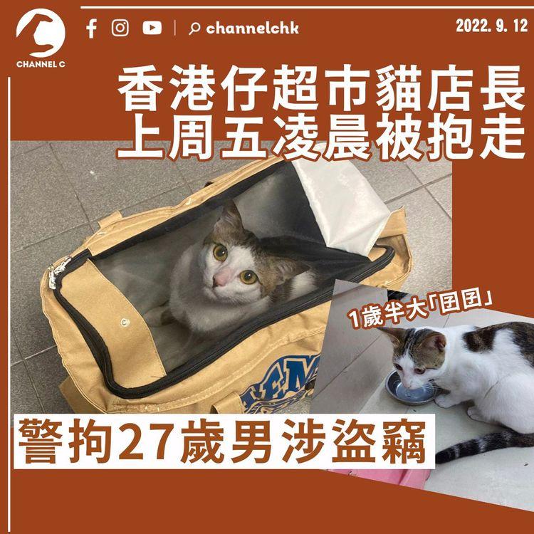 香港仔佳寶貓店長上周五凌晨被抱走 警拘27歲男涉盜竊