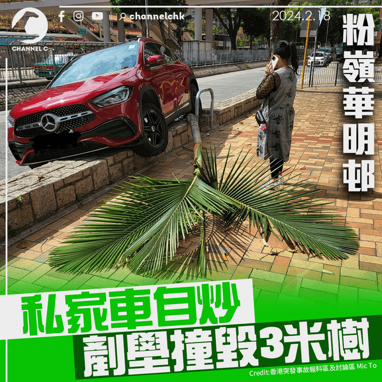 粉嶺華明邨私家車自炒　剷壆撞毀3米樹