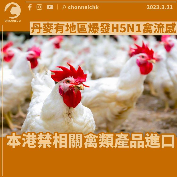 丹麥有地區爆發H5N1禽流感 本港禁相關禽類產品進口