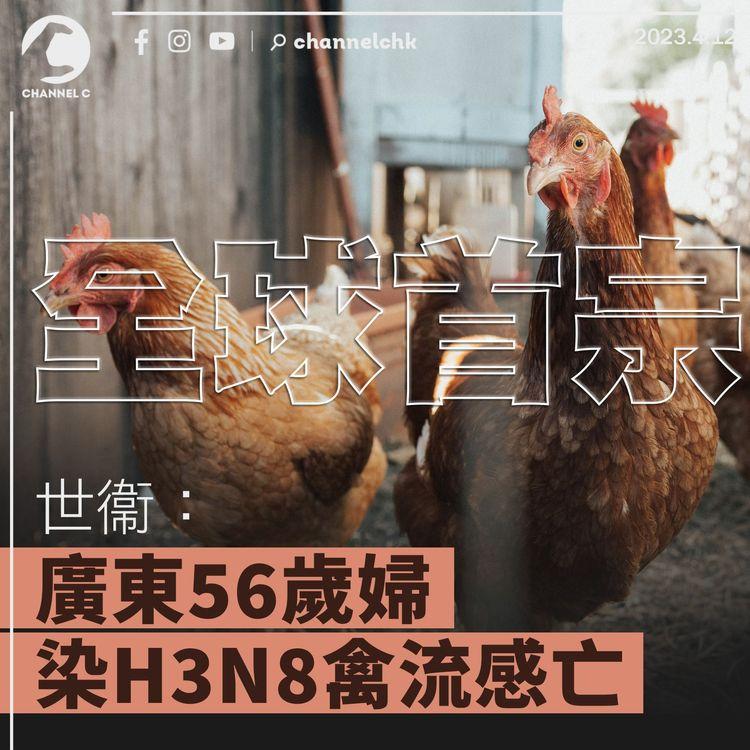 世衞：廣東56歲婦染H3N8禽流感亡 全球首宗